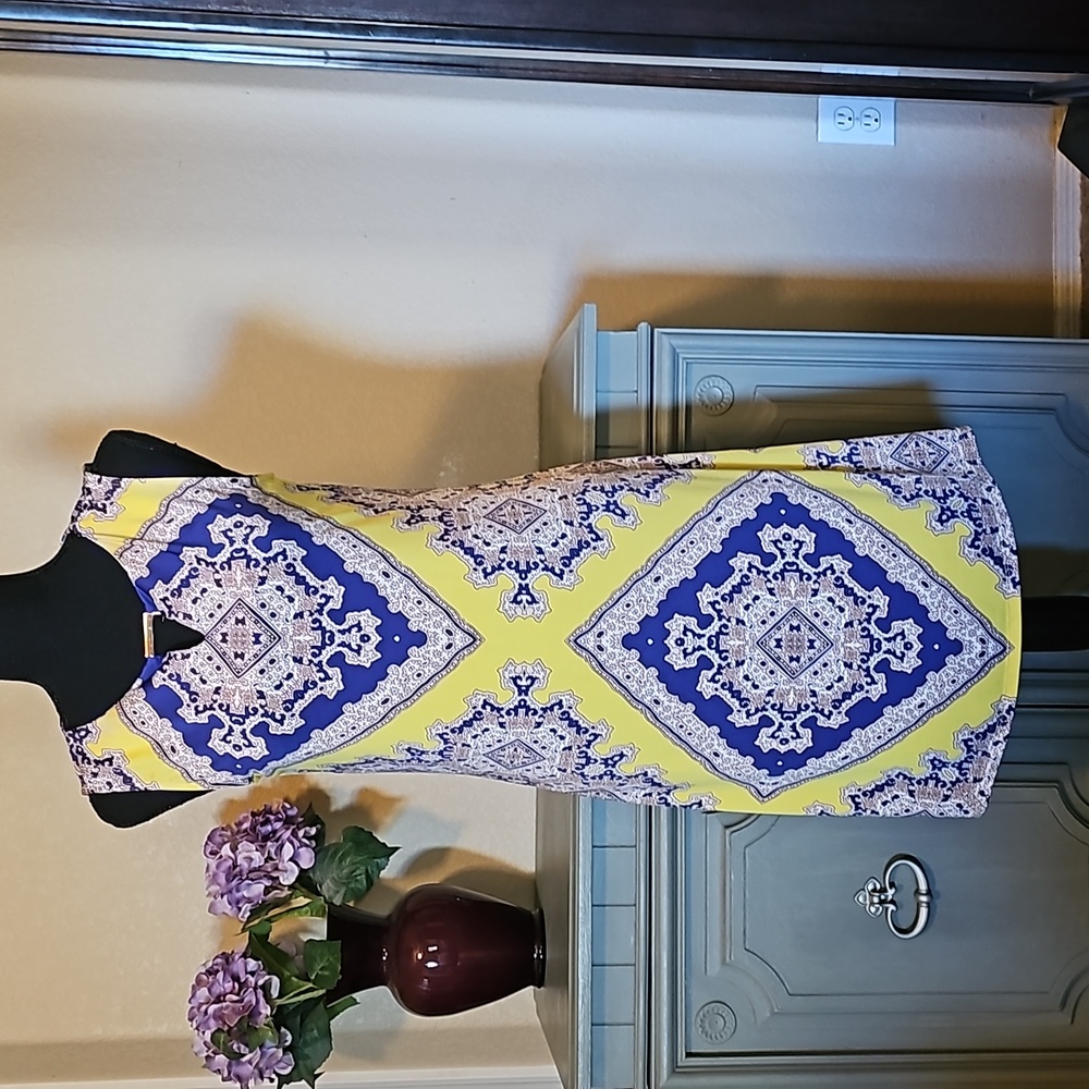 WORN ONCE 🎀 Haani Dress